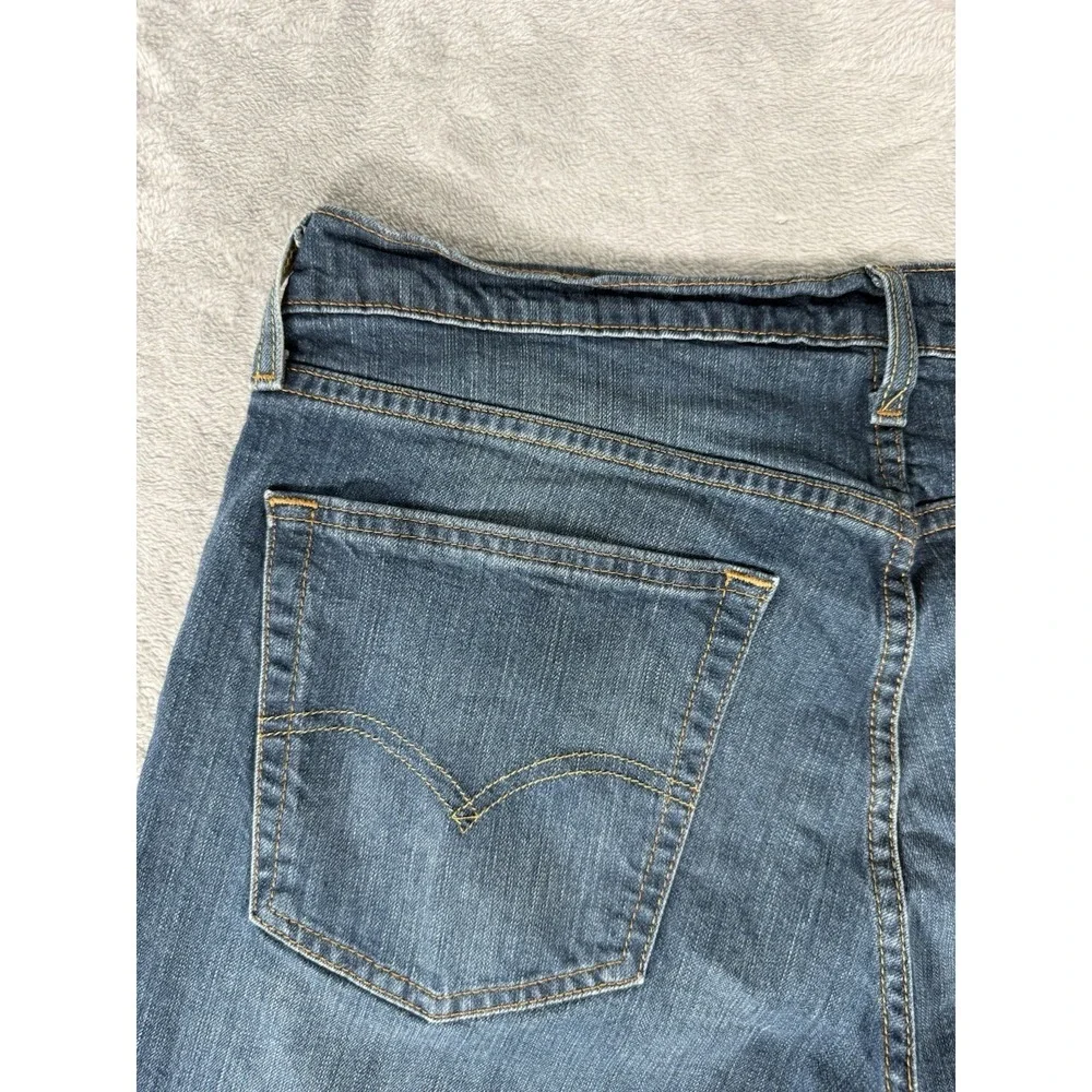 Levis levis 559